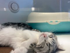 -龟与熊猫宠物公园(南坪店)