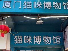 -猫咪博物馆(顶澳仔猫街店)