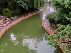 -团结湖公园