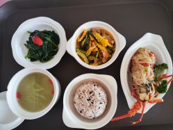 -星玥国际月子中心(天通苑店)