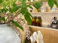 -麻雀咖啡SPARROW COFFEE(十全街店)