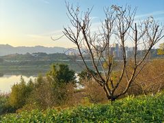 -金海湾滨江公园