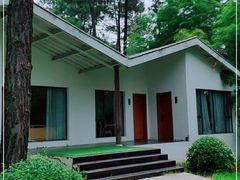 -竹上云想餐厅民宿