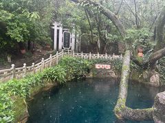 -蝴蝶泉公园