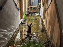 -邈墨茶馆(凤起路店)