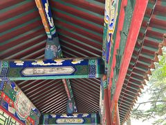 -中国人民解放军总医院