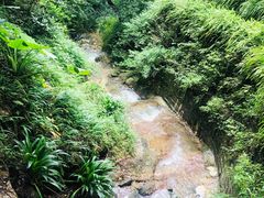 -白公馆