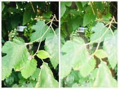 -斯多格书乡(北京大学畅春园店)