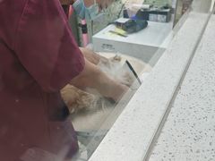 -瑞鹏·疫苗·绝育·宠物医院(金沙洲店)