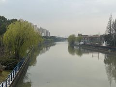 -高东镇樱花园