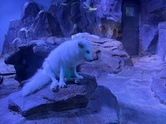 -正佳极地海洋世界