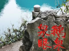-靖西鹅泉风景区