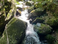 -藏龙百瀑风景区