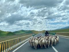 -青海湖国家重点风景名胜区