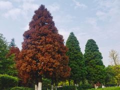 -同里国家湿地公园