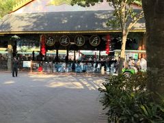 -西双版纳原始森林公园