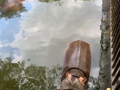 -海南热带野生动植物园