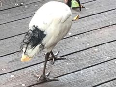 -可伦宾野生动物保护区