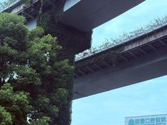 -奎星楼街