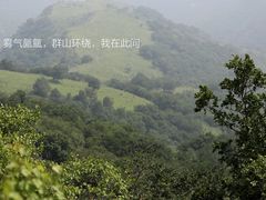 -灵山