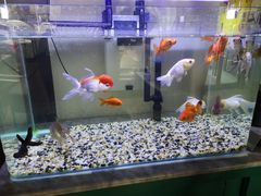 -自贡盐帮菜·玩辣餐厅(樱花园西街店)