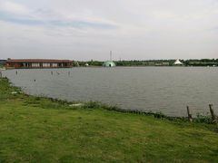 -上海都市菜园