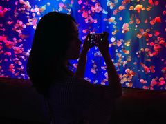 -成都浩海立方海洋公园