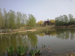 -东郊湿地公园