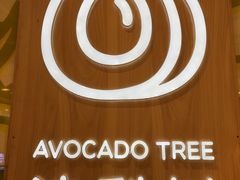 -油梨树AVOCADO TREE(嘉里中心店)