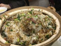 -金城大山猪肚鸡(河池总店)