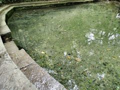 -云栖竹径