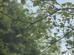 -云里小坐·海泉湾·团建·宴席·下午茶(金堂海泉湾店)