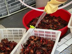 -霸王虾·麻辣小龙虾(清水河公园店)