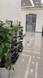 点击看大图 -痘博士广州·全国连锁祛痘机构