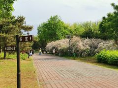 -老君堂公园