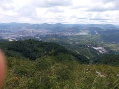 -长虫山生态公园风景林