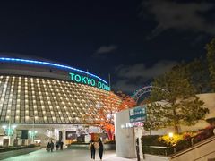 -JR东日本大都会大饭店东京城
