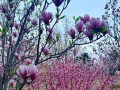 -北京西山国家森林公园