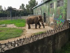 -西安秦岭野生动物园