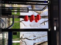 -兰州牛肉拉面(瑞金路)