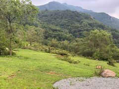 -大姆山草场