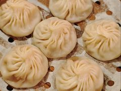 招牌鲜肉小笼汤包-王繁星面馆(西安熙地港店)