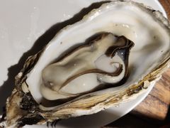 -烧蠔帮·生蚝海鲜牌档(观海店)