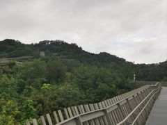 -福道