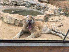 -杭州野生动物世界
