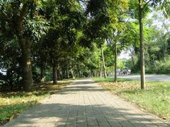 DSC08261-湖光岩风景区