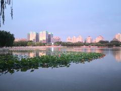 -莲花池公园