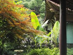 -十八棵（老龙井）御茶园(老龙井店)