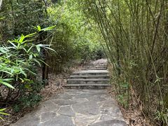 -竹林寺
