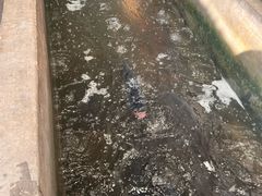 -雪湖煜辰鱼头老店(雪野湖店)